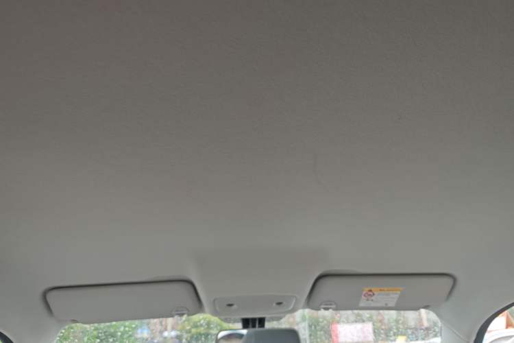 Used Leapmotor T03 2024 403 Comfort Edition Headliner