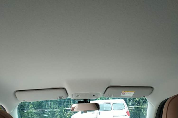 Used Leapmotor T03 2024 310 Comfort Edition Headliner