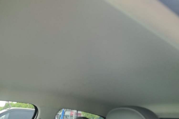 Used Leapmotor T03 2024 310 Comfort Edition Headliner
