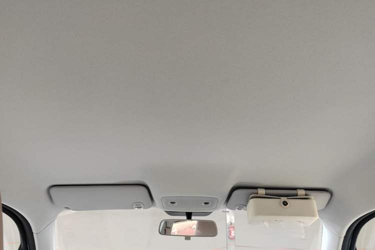 Used Leapmotor T03 2024 310 Comfort Edition Headliner