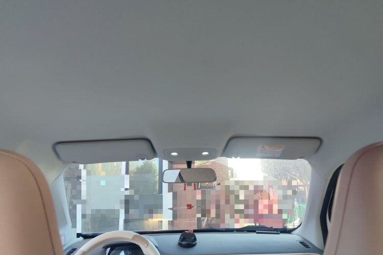 Used Leapmotor T03 2024 200 Lite Edition Headliner