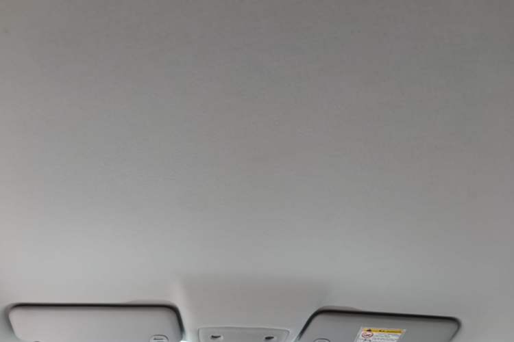 Used Leapmotor T03 2024 310 Comfort Edition Headliner