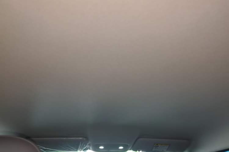 Used Leapmotor T03 2024 200 Lite Edition Headliner