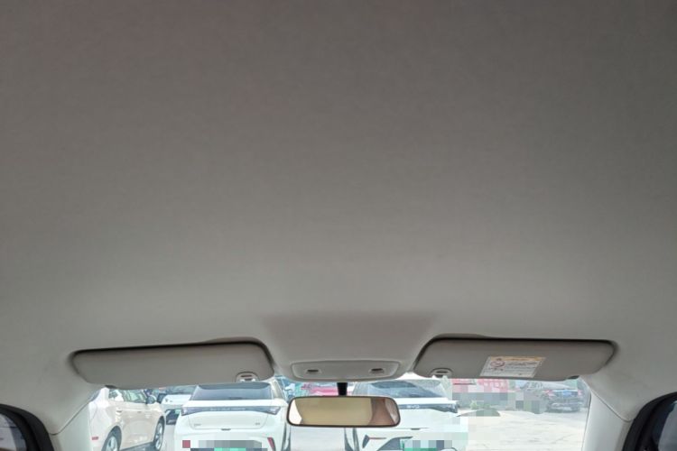 Used Leapmotor T03 2024 310 Comfort Edition Headliner