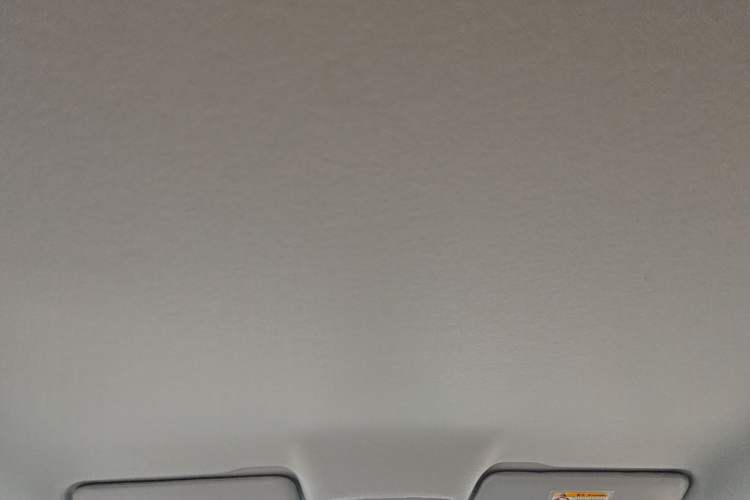Used Leapmotor T03 2024 200 Lite Edition Headliner