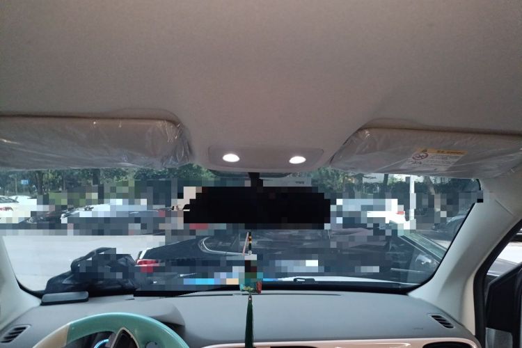 Used Leapmotor T03 2024 310 Comfort Edition Headliner
