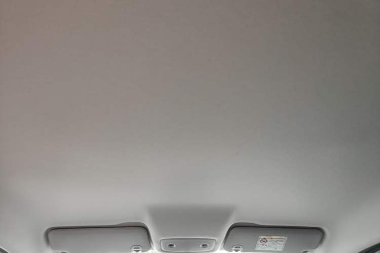Used Leapmotor T03 2024 310 Comfort Edition Headliner
