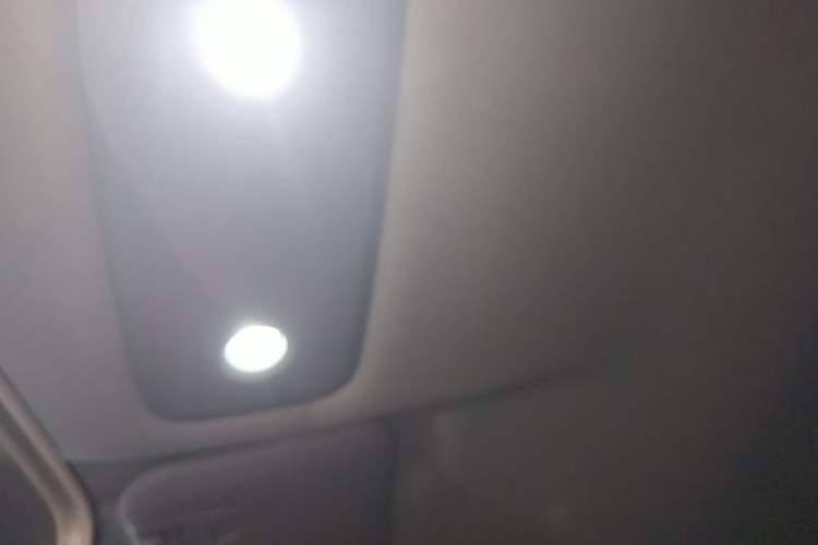 Used Leapmotor T03 2024 310 Comfort Edition Headliner