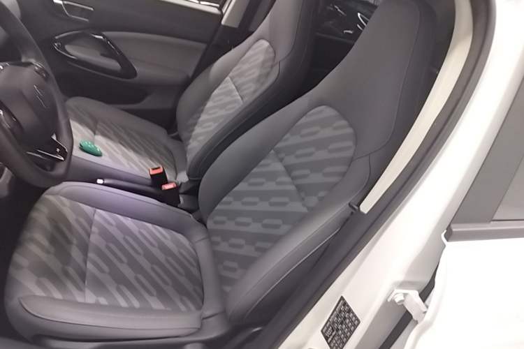 Used Leapmotor T03 2024 200 Lite Edition Left Front Seat