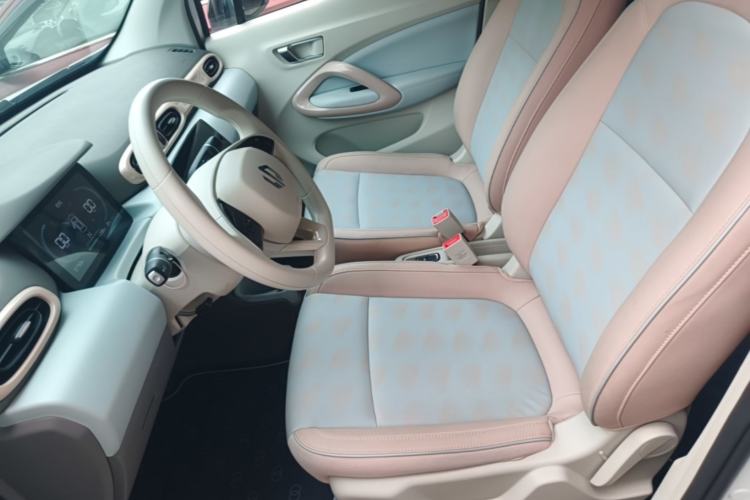 Used Leapmotor T03 2024 310 Comfort Edition Left Front Seat