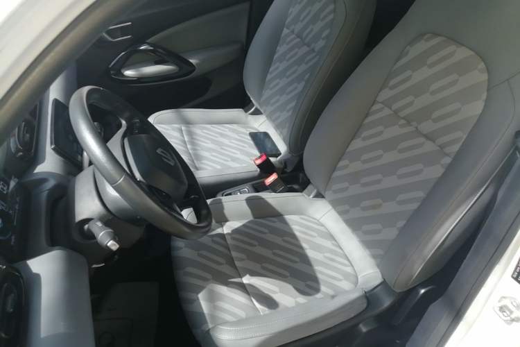 Used Leapmotor T03 2024 310 Comfort Edition Left Front Seat