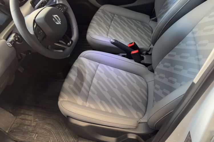 Used Leapmotor T03 2024 200 Lite Edition Left Front Seat