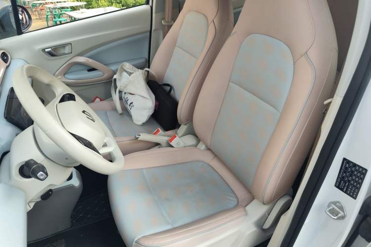 Used Leapmotor T03 2024 200 Lite Edition Left Front Seat