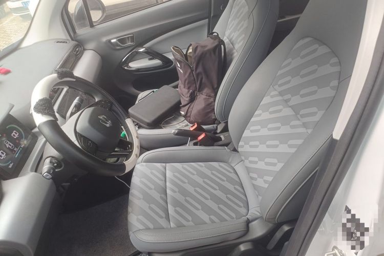 Used Leapmotor T03 2024 200 Lite Edition Left Front Seat