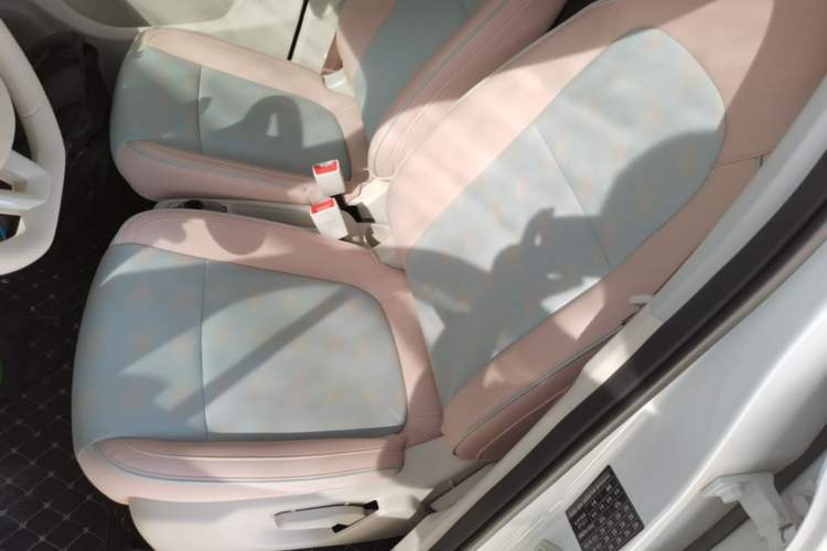 Used Leapmotor T03 2024 403 Comfort Edition Left Front Seat