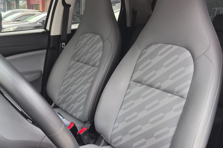 Used Leapmotor T03 2024 310 Comfort Edition Left Front Seat