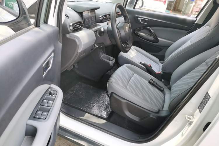 Used Leapmotor T03 2024 200 Lite Edition Left Front Seat