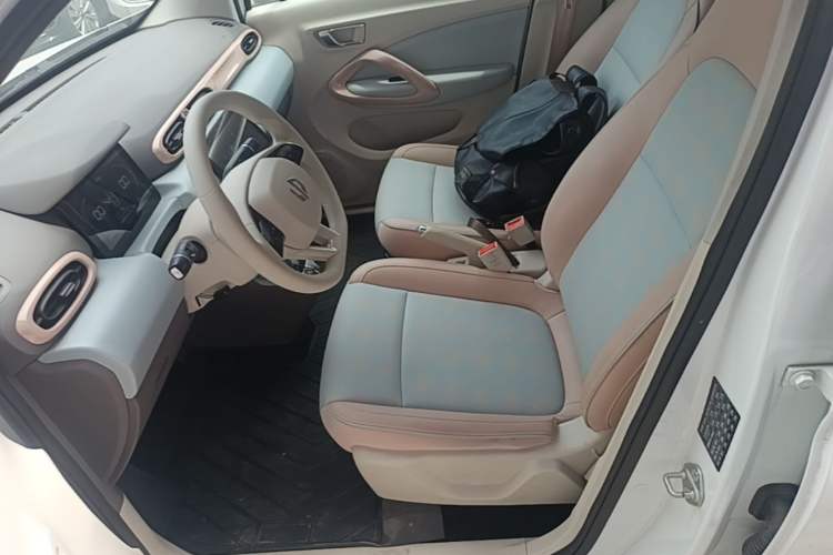 Used Leapmotor T03 2024 200 Lite Edition Left Front Seat