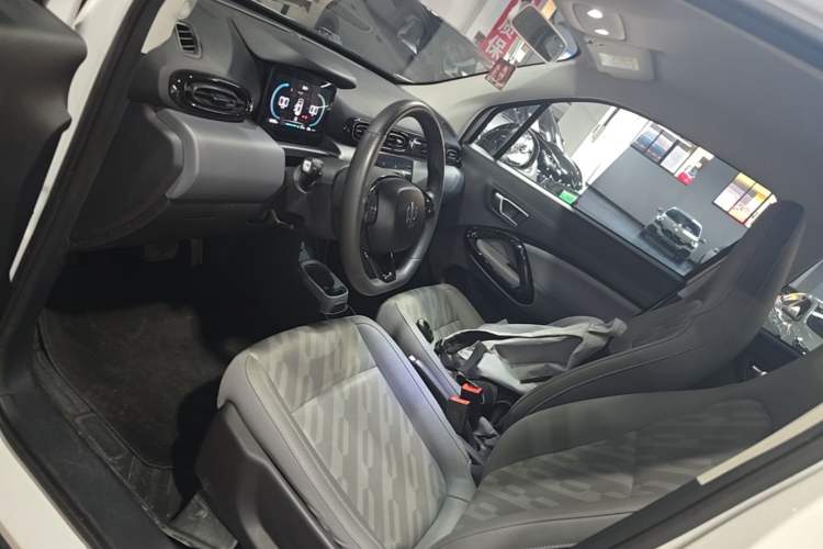 Used Leapmotor T03 2024 200 Lite Edition Left Front Seat