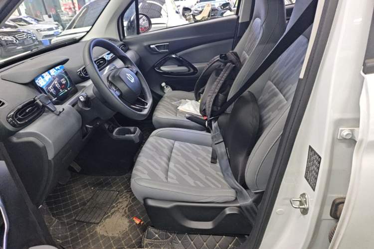 Used Leapmotor T03 2024 200 Lite Edition Left Front Seat