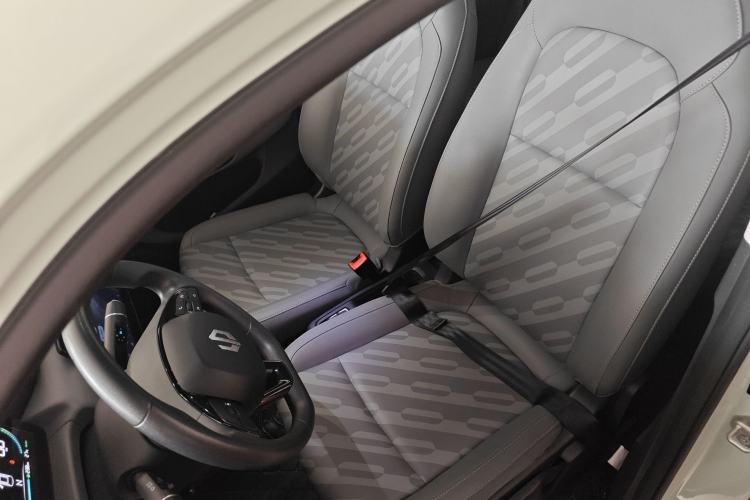 Used Leapmotor T03 2024 403 Comfort Edition Left Front Seat