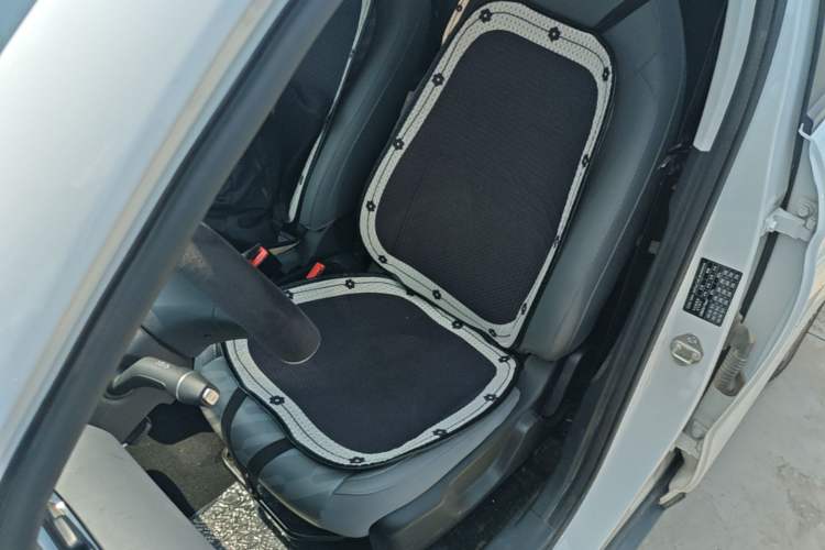 Used Leapmotor T03 2024 310 Comfort Edition Left Front Seat