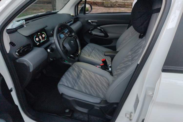 Used Leapmotor T03 2024 310 Comfort Edition Left Front Seat
