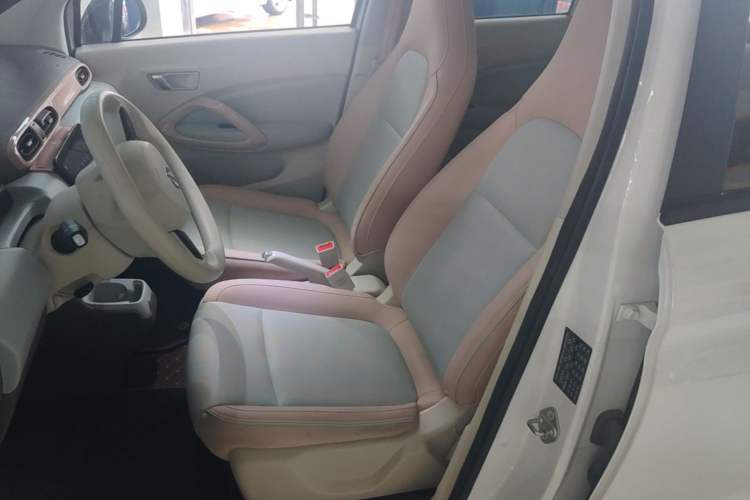Used Leapmotor T03 2024 200 Lite Edition Left Front Seat