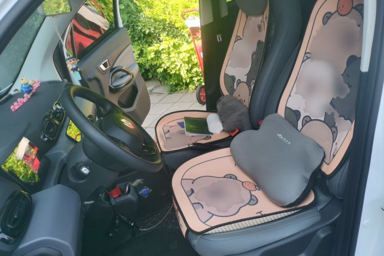 Used Leapmotor T03 2024 200 Lite Edition Left Front Seat
