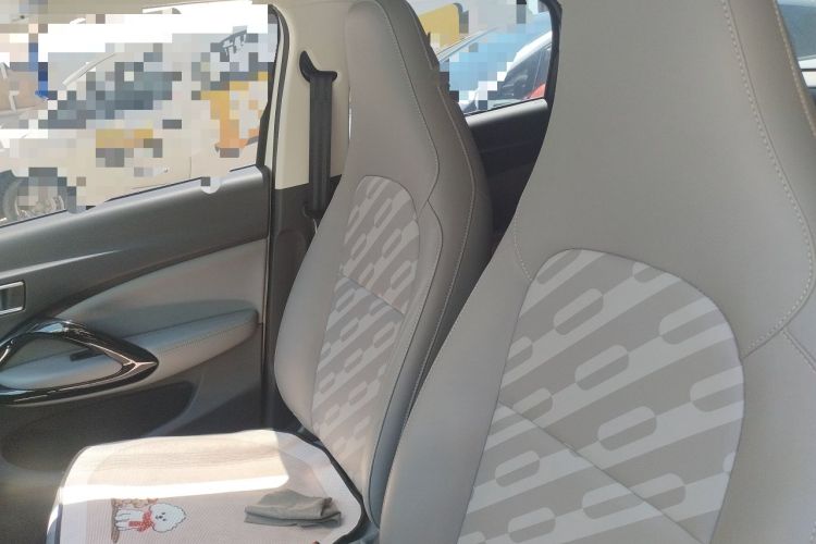 Used Leapmotor T03 2024 200 Lite Edition Left Front Seat