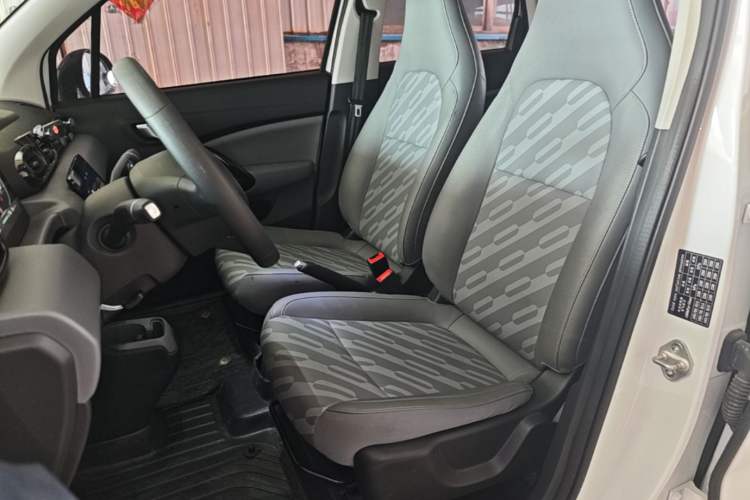 Used Leapmotor T03 2024 200 Lite Edition Left Front Seat