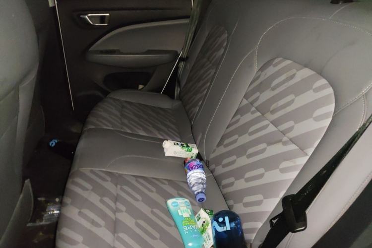 Used Leapmotor T03 2024 310 Comfort Edition Left Rear Seat