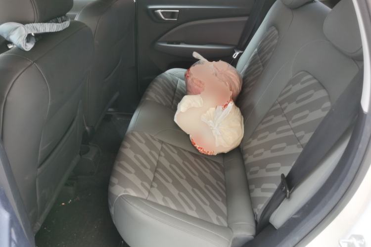 Used Leapmotor T03 2024 403 Comfort Edition Left Rear Seat