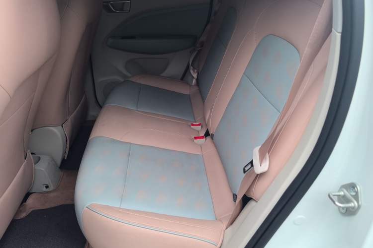 Used Leapmotor T03 2024 310 Comfort Edition Left Rear Seat