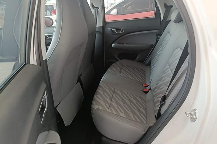Used Leapmotor T03 2024 403 Comfort Edition Left Rear Seat