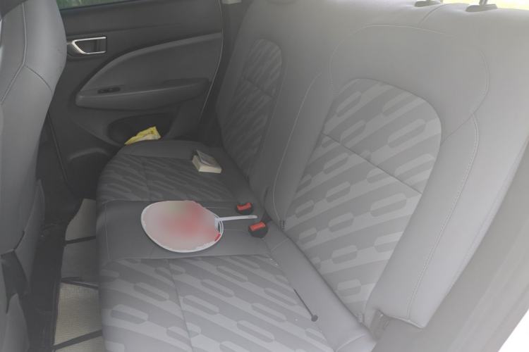 Used Leapmotor T03 2024 310 Comfort Edition Left Rear Seat