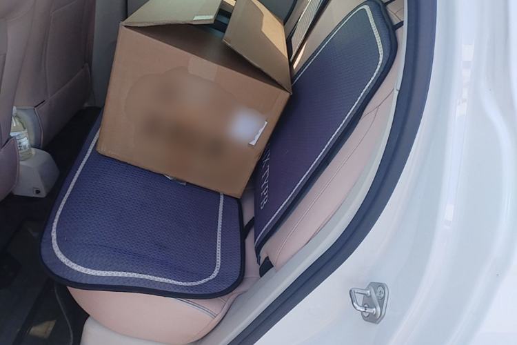Used Leapmotor T03 2024 200 Lite Edition Left Rear Seat