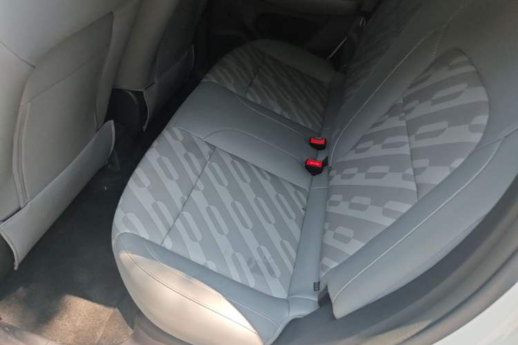 Used Leapmotor T03 2024 310 Comfort Edition Left Rear Seat