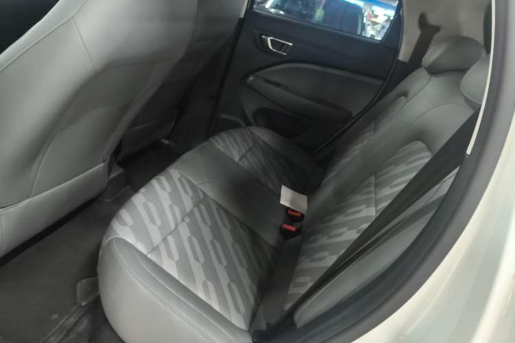 Used Leapmotor T03 2024 403 Comfort Edition Left Rear Seat