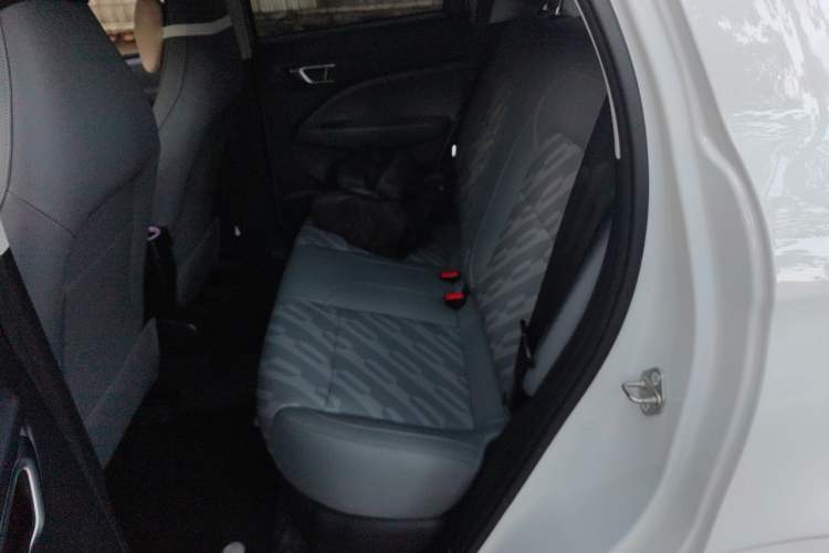 Used Leapmotor T03 2024 310 Comfort Edition Left Rear Seat