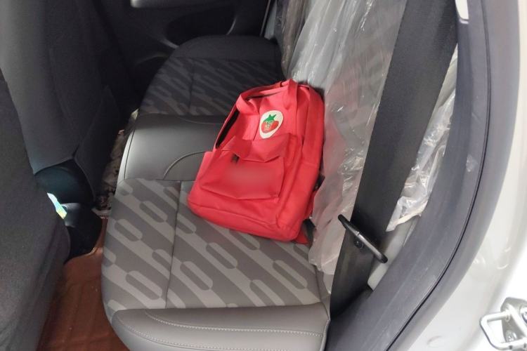 Used Leapmotor T03 2024 310 Comfort Edition Left Rear Seat