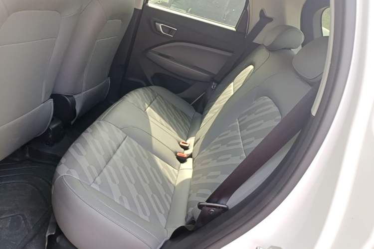 Used Leapmotor T03 2024 403 Comfort Edition Left Rear Seat