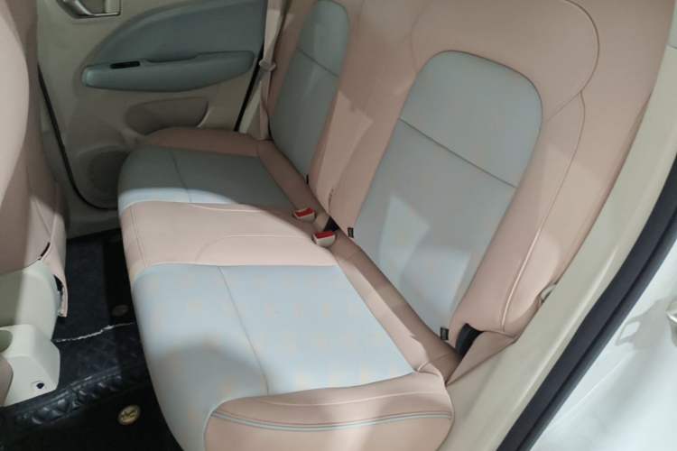 Used Leapmotor T03 2024 310 Comfort Edition Left Rear Seat