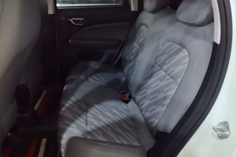 Used Leapmotor T03 2024 310 Comfort Edition Left Rear Seat