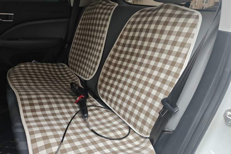 Used Leapmotor T03 2024 310 Comfort Edition Left Rear Seat
