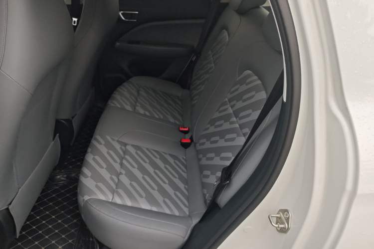 Used Leapmotor T03 2024 403 Comfort Edition Left Rear Seat