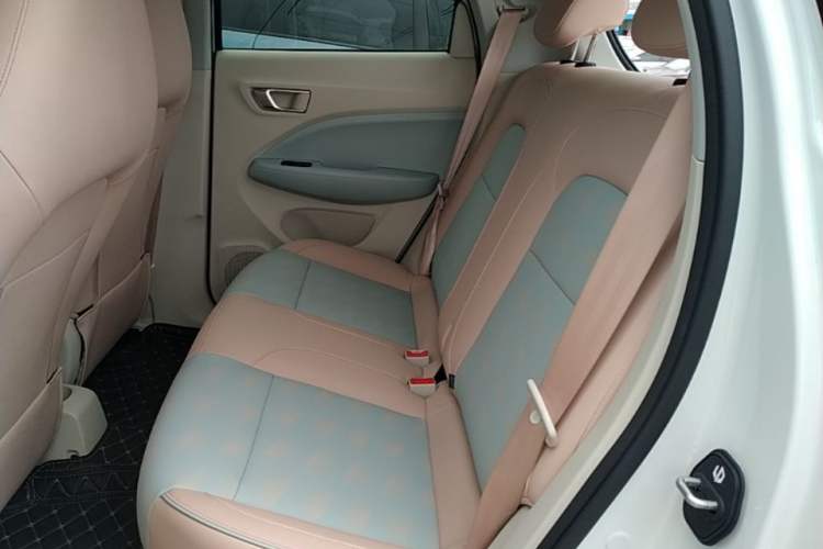 Used Leapmotor T03 2024 310 Comfort Edition Left Rear Seat