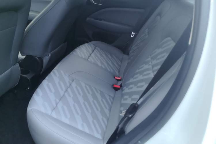 Used Leapmotor T03 2024 310 Comfort Edition Left Rear Seat
