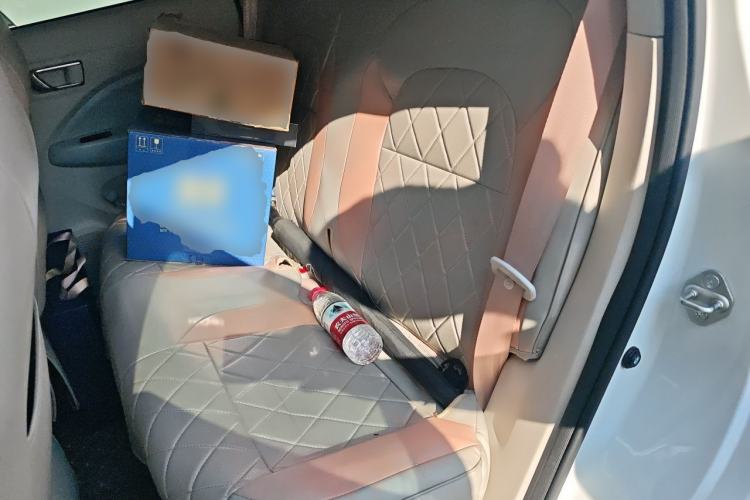 Used Leapmotor T03 2024 310 Comfort Edition Left Rear Seat