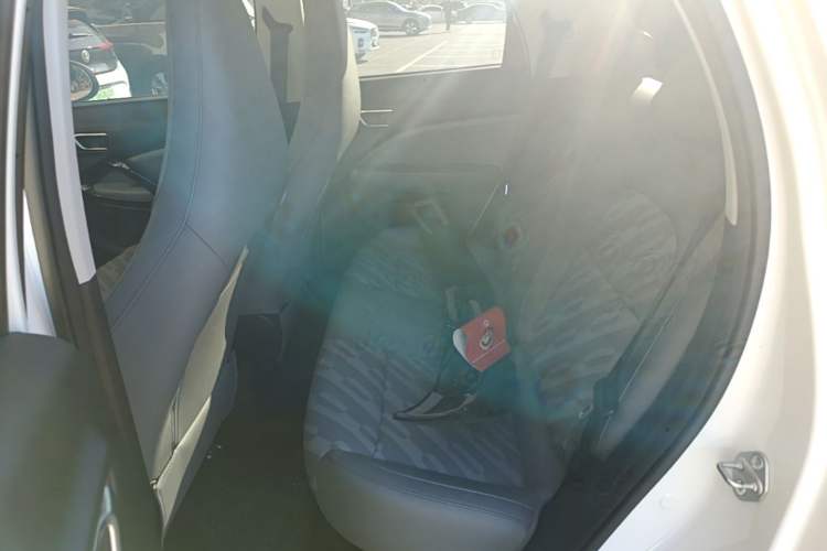 Used Leapmotor T03 2024 310 Comfort Edition Left Rear Seat